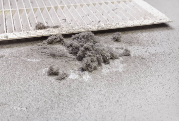 Best Affordable Duct Cleaning Services  in Brilliant, AL