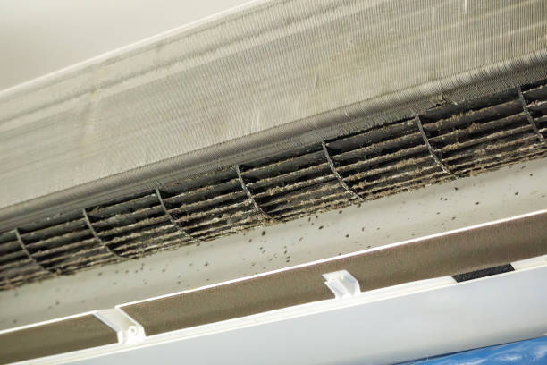 Best Commercial Air Duct Cleaning  in Brilliant, AL